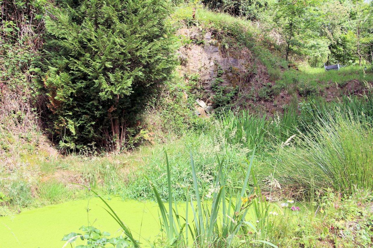 Haus Teufenbach Apart otel Bad Neuenahr-Ahrweiler Dış mekan fotoğraf